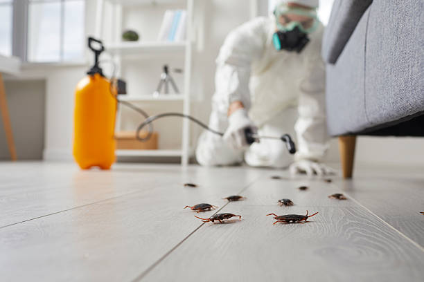 Affordable Mosquito Control solutions in Ritzville, WA